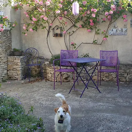 Pause couleur Lavandula Roussas Extérieur photo