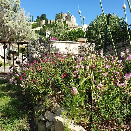 Pause couleur Lavandula Roussas Extérieur photo