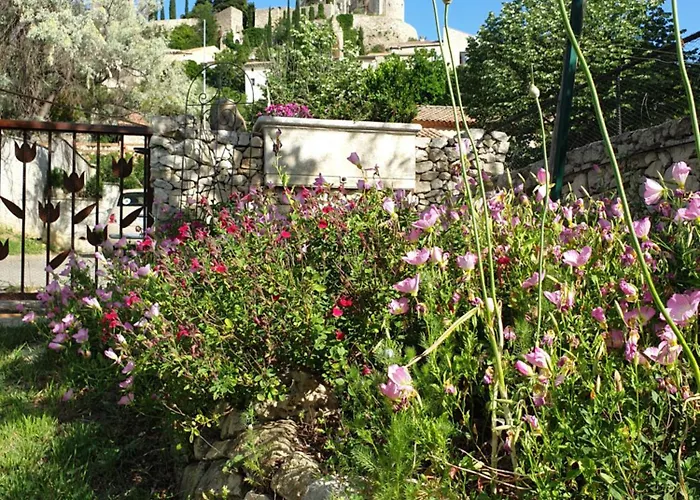 Pause Couleur Lavandula