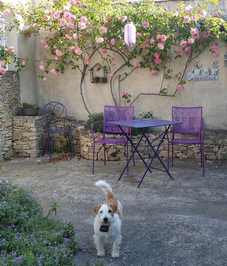 Pause Couleur Lavandula