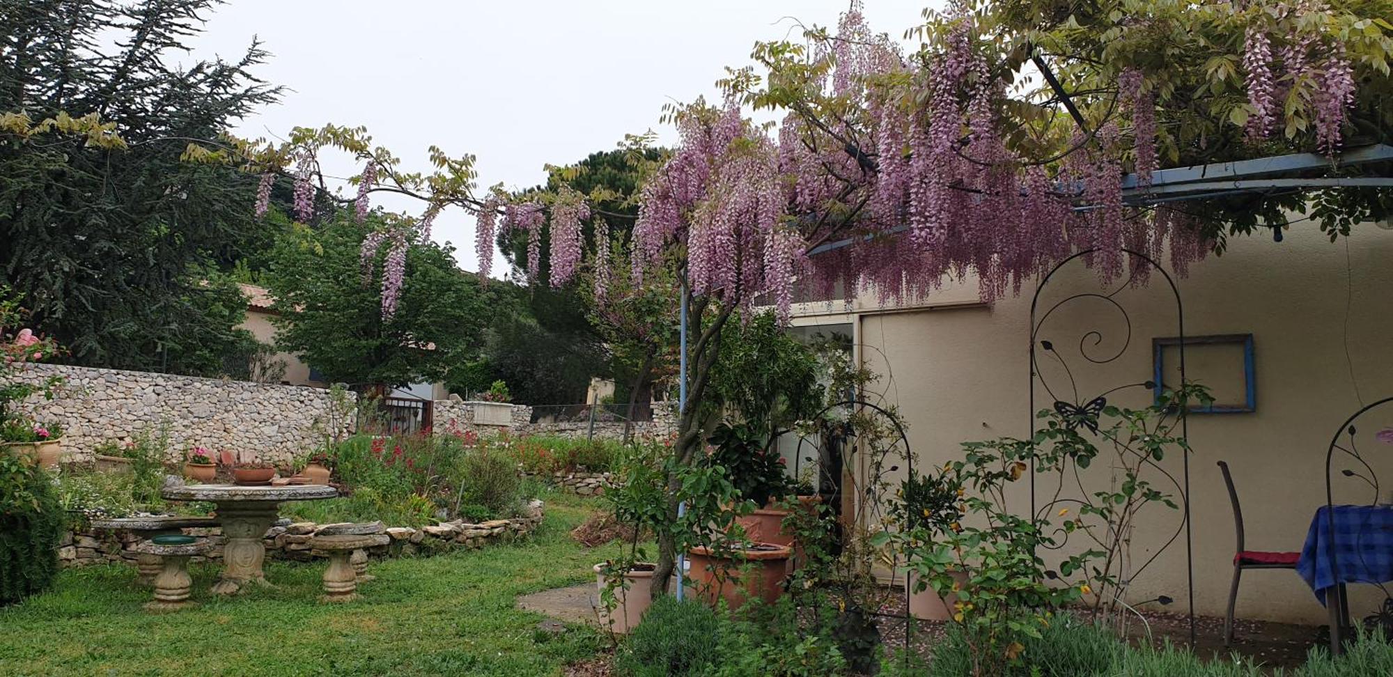 Pause Couleur Lavandula